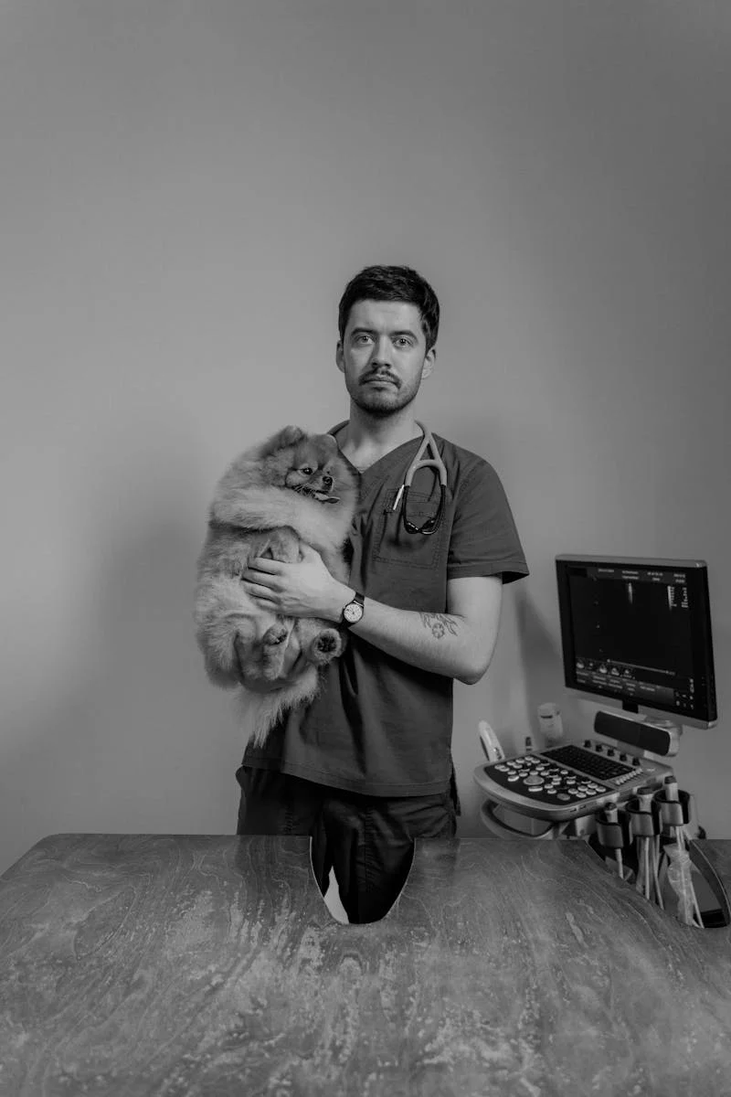 Clínica Veterinária - equipe
